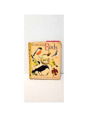 Vintage 1942 Little Golden Book of Birds